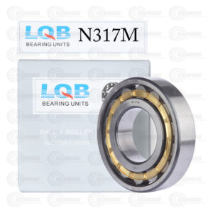 N317 Cylindrical Roller Bearing