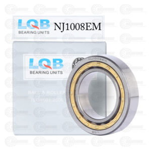 NJ1008EM Cylindrical Roller Bearing