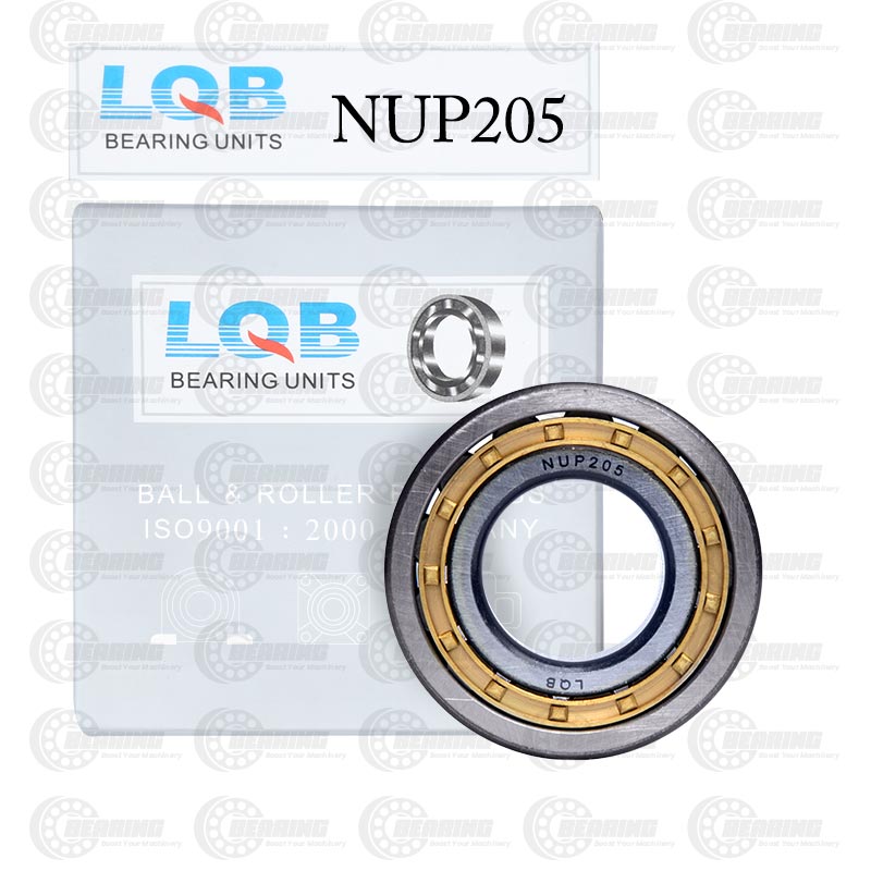 NUP205 CYLINDRICAL ROLLER