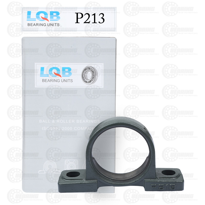 P213 Pillow Block
